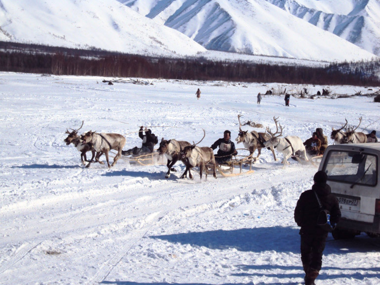 Reindeer Race